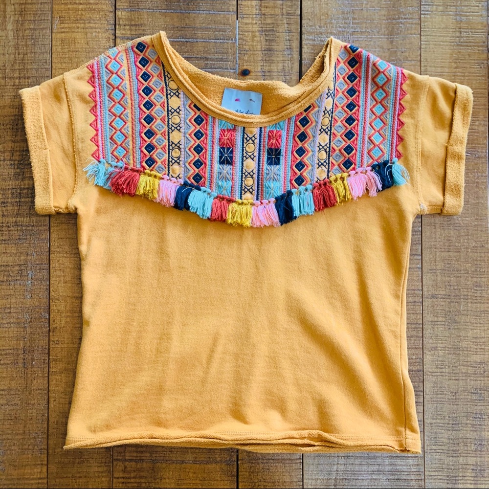 Anthropologie French Terry Embroidered Tassel Top